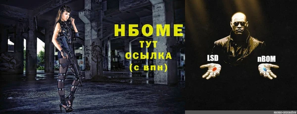 стафф Аркадак