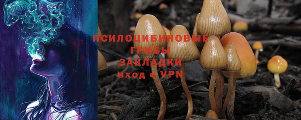 стафф Аркадак
