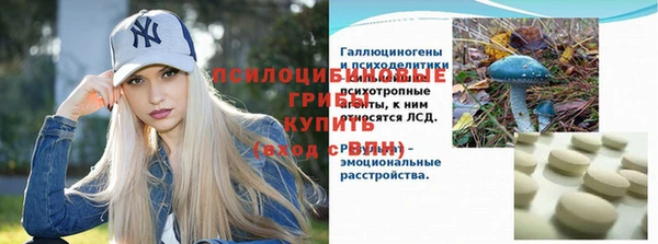 стафф Аркадак