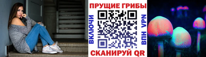 купить закладку  Межгорье  Галлюциногенные грибы MAGIC MUSHROOMS 